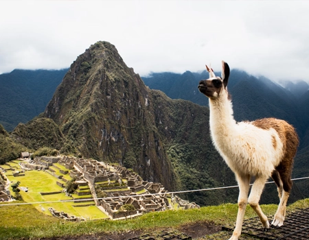 From Farm to Table: Exploring Peru's Rich Gastronomic & Agricultural Heritage